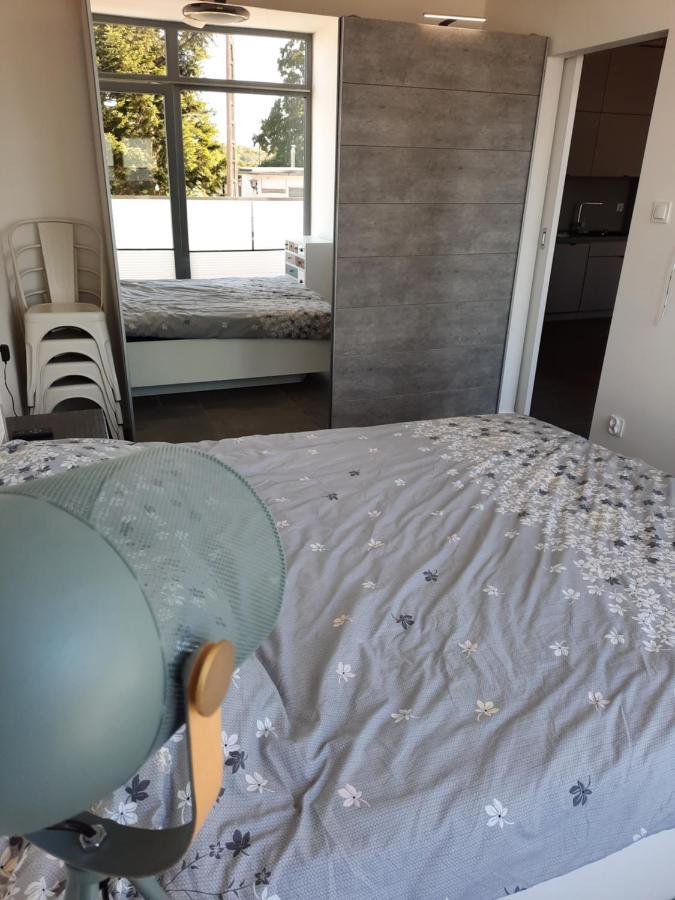 Апартаменты Apartament Nad Jeziorem Bory Tucholskie Хажуковы Экстерьер фото